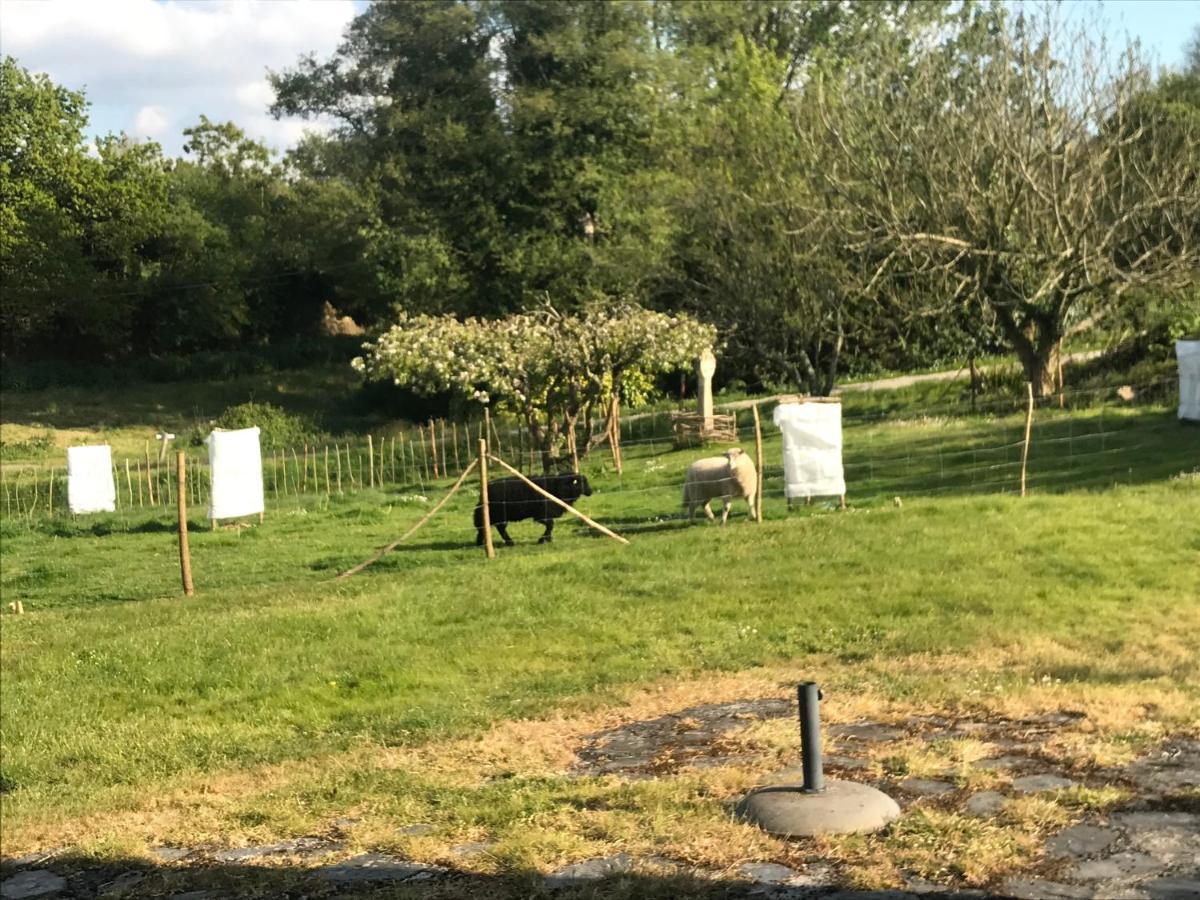 Gite De Kerfenefas Plouézocʼh Dış mekan fotoğraf